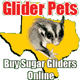 (image for) Glider Pets