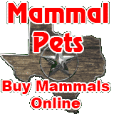 (image for) Mammal Pets