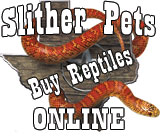 (image for) Slither Pets