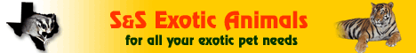 (image for) S&S Exotic Animals, Inc.